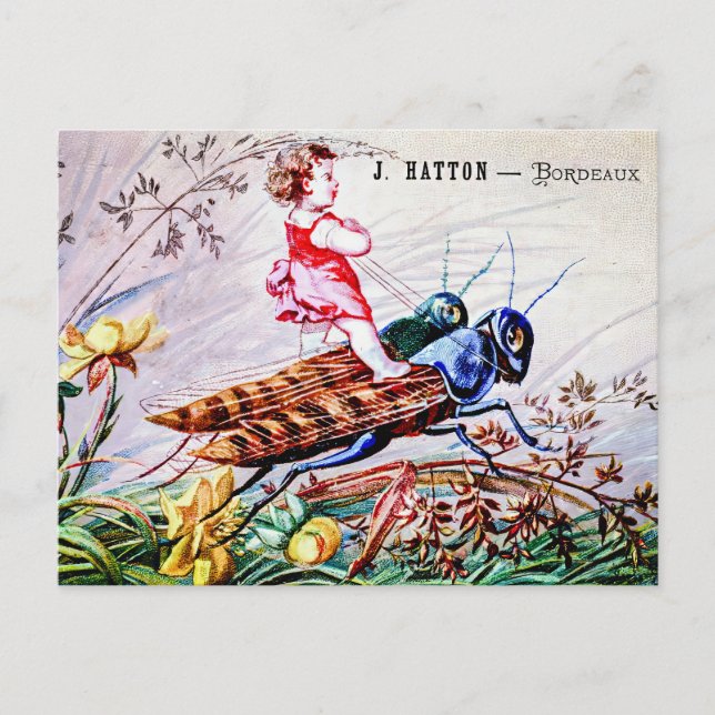 Child Riding Grasshoppers Postcard (Front)
