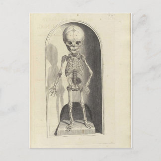Child Skeleton Postcard
