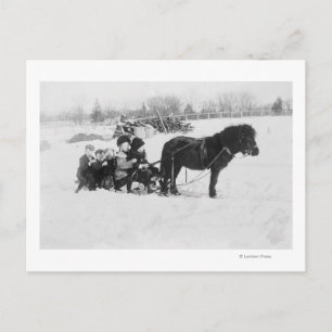 Children on Pony Drawn Sled Photograph Postcard