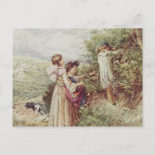 Children picking blackberries, 19th century postcard