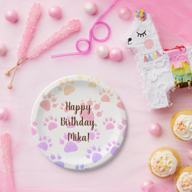 children's birthday decor paper plate (Party)