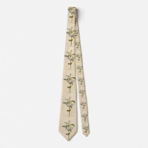 Children's Warbler from Audubon's Birds of America Tie