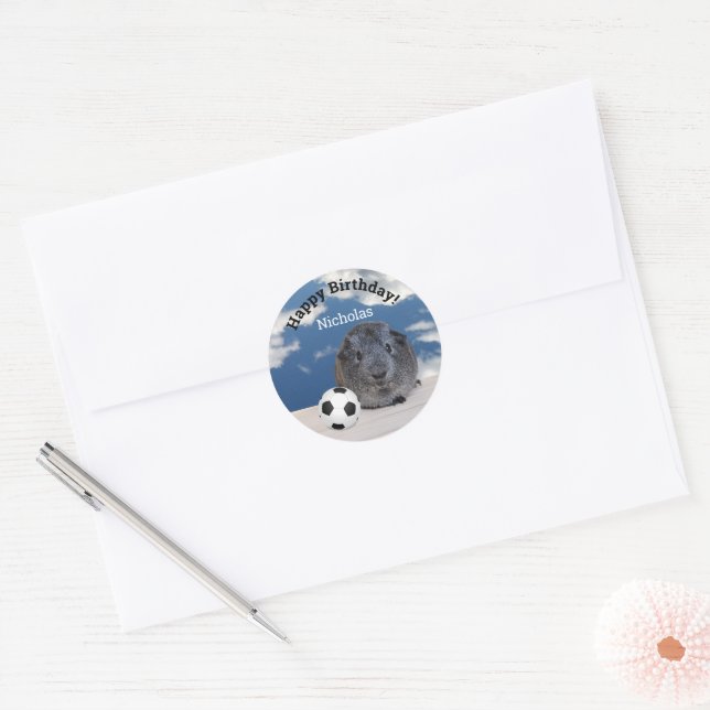 Child's Happy Birthday Guinea Pig Soccer Ball Classic Round Sticker (Envelope)