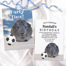 Child's Party Black White Guinea Pig Soccer Ball