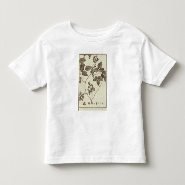 Chile 3 toddler t-shirt (Front)