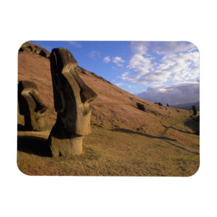 Chile, Easter Island. Hillside with Moai Magnet