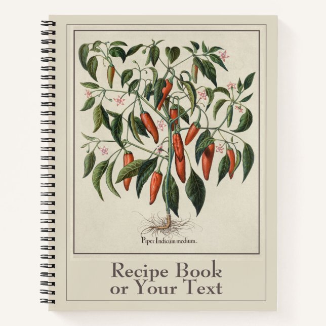 Chile Recipe Book (Front)