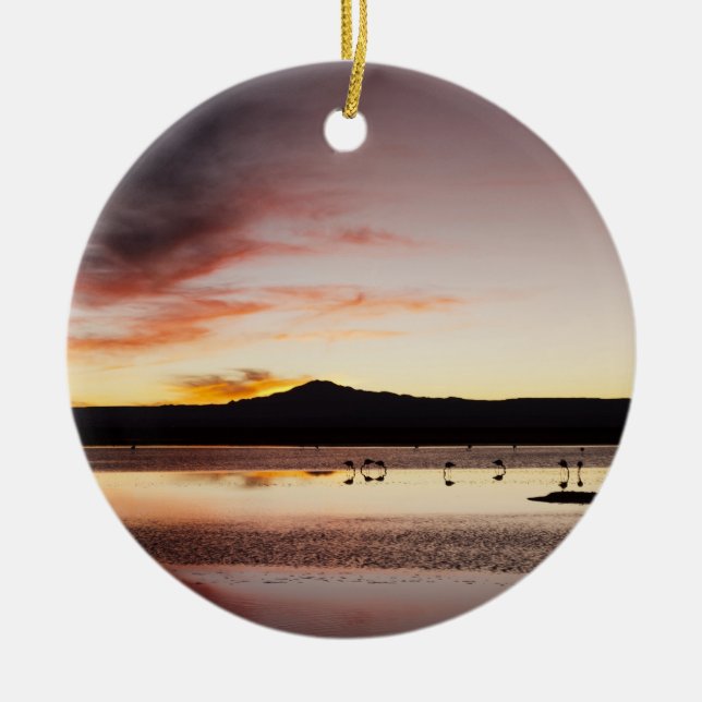 Chilean Flamingo Ceramic Ornament (Front)