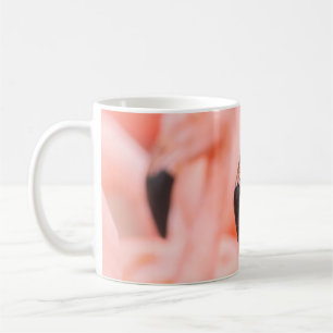 Chilean flamingo (Phoenicopterus chilensis), with Coffee Mug
