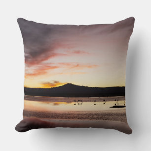 Chilean Flamingo Throw Pillow