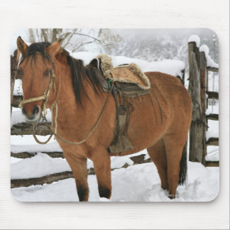 Chilean horse outfitted with traditional Chilean Mouse Pad
