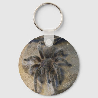 Chilean Rose Hair Tarantula Keychain