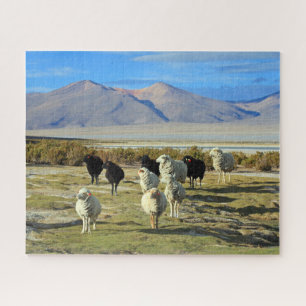 Chilean sheep 520-pc jigsaw puzzle