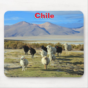 Chilean sheep mouse pad