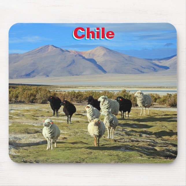 Chilean sheep mouse pad (Front)