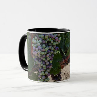 Chilean Vineyard Mug