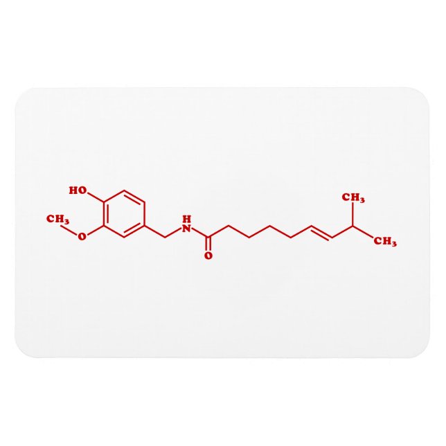 Chili Capsaicin Molecular Chemical Formula Magnet (Horizontal)