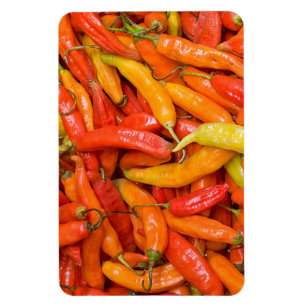 Chili Magnet