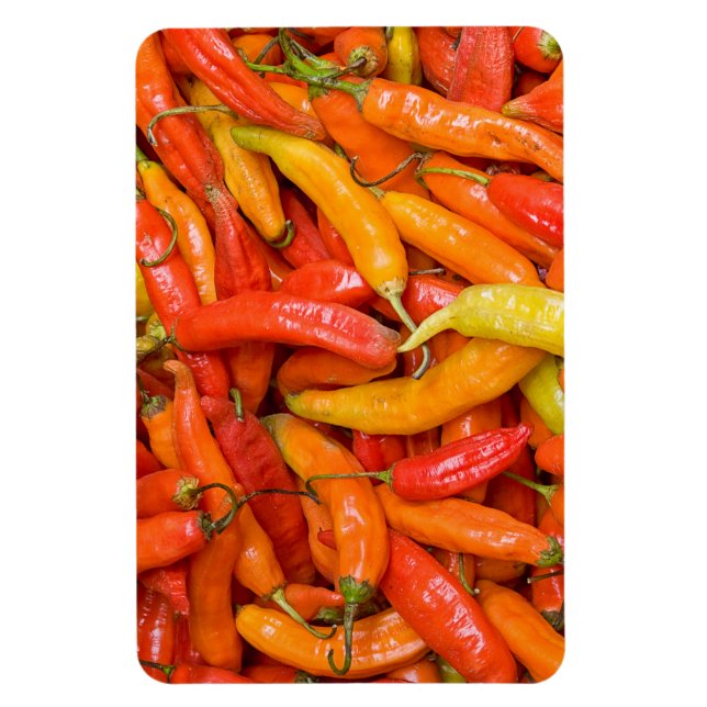 Chili Magnet (Vertical)