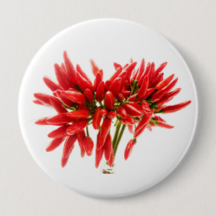 Chili peppers 4 inch round button