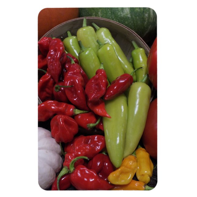Chili Peppers Etc. Magnet (Vertical)