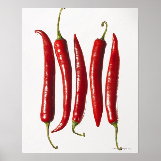 Chili Peppers in a Row Poster (Front)