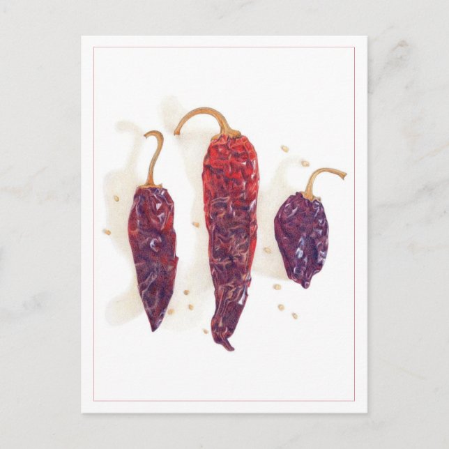 CHILI PEPPERS Postcard (Front)