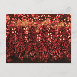 Chili ristras with holiday lights postcard