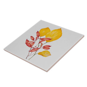 Chili & Turmeric on a Ceramic Tile