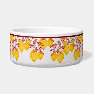 Chili & Turmeric on a Salad Bowl