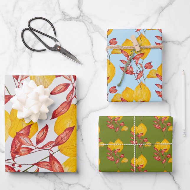 Chili & Turmeric on Wrapping Paper Set (Front)