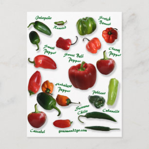 Chili Varieties Postcard
