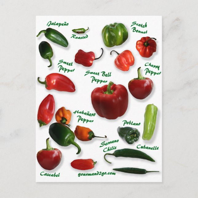 Chili Varieties Postcard (Front)