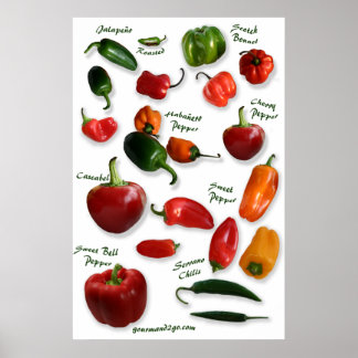 Chili Varieties Wall Art