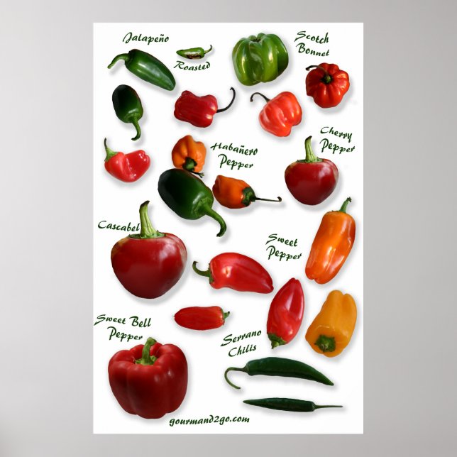 Chili Varieties Wall Art (Front)