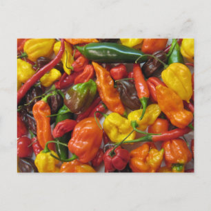 Chilihead card