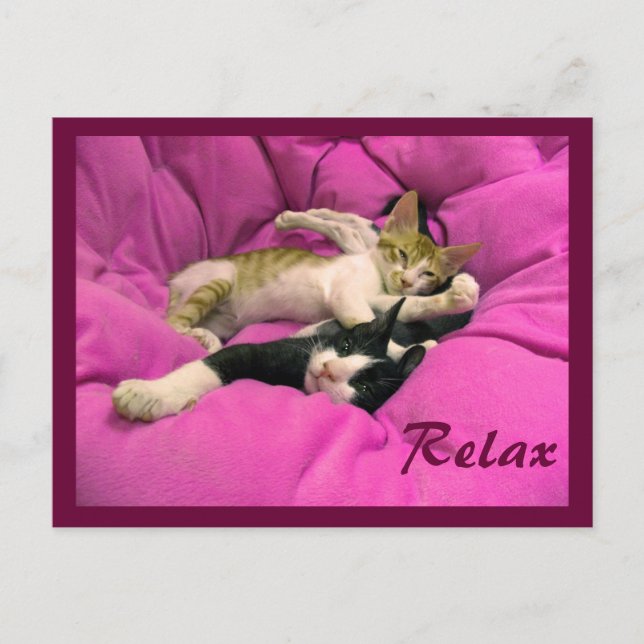 Chill Bill & Relax Max Postcard (Front)