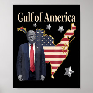 Chill Greeting From The Gulf Of Usa America Patrio Poster