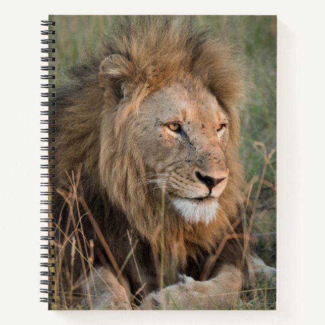 Chill Lion Personalize Name  Notebook (Front)