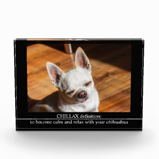 CHILLAX definition calm relax chihuahua photo text