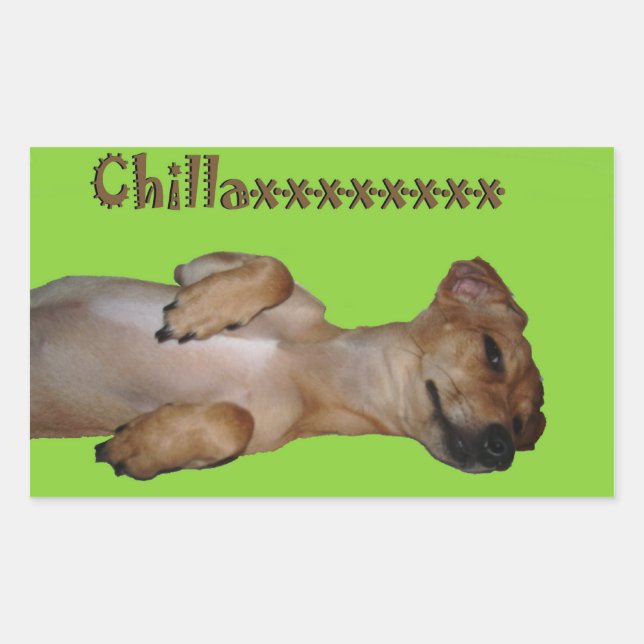 Chillaxin Chiweenie Sticker (Front)
