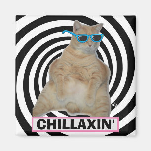 CHILLAXIN" Fat Manx Cat with Sunglasses Magnet