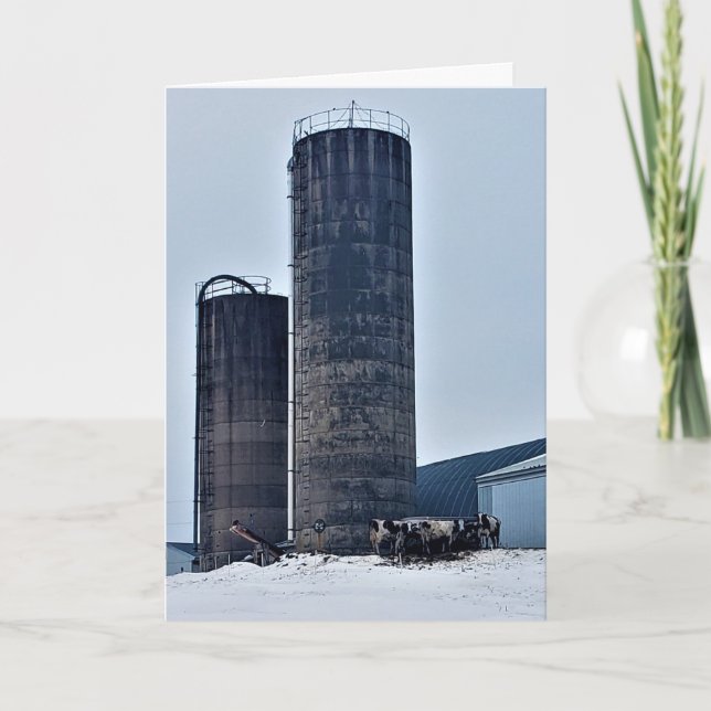"Chilled Beef" Birthday Card (Front)