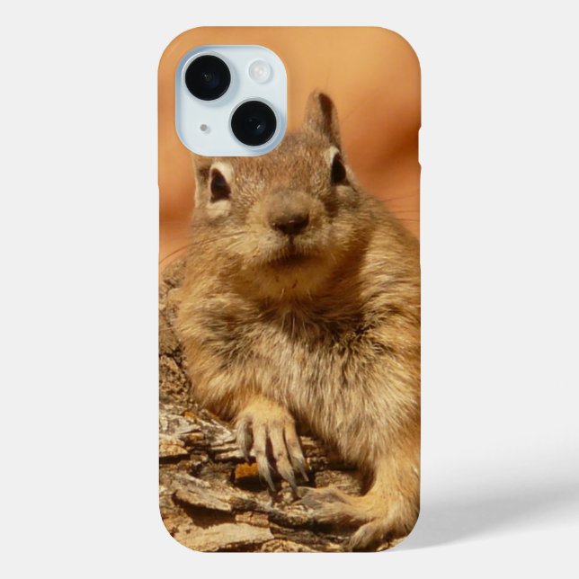 Chilled Out Ground Squirrel Photo Case-Mate iPhone Case (Back)