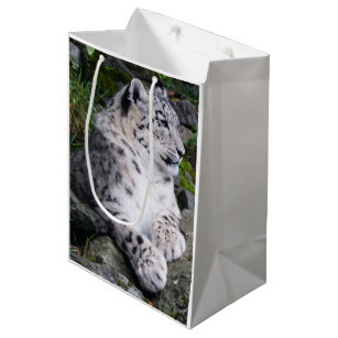 Chilled Out Snow Leopard Medium Gift Bag