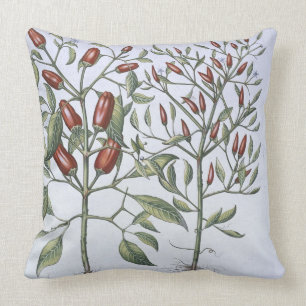 Chilli Pepper plants, from the 'Hortus Eystettensi Throw Pillow