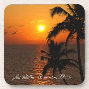 Chillin' Coaster A Taste of Florida