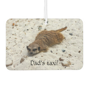 Chillin' Meerkat Car air freshener