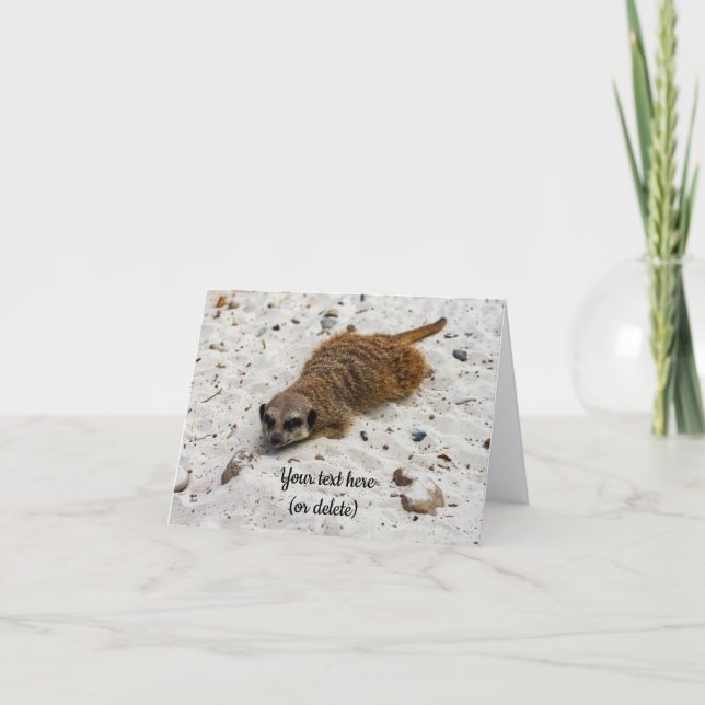 Chillin' Meerkat Folded Greeting Card (Front)