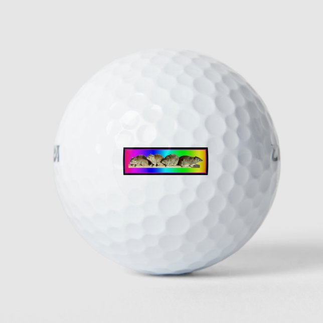 Chilling African Hyrax Golf Balls (Front)